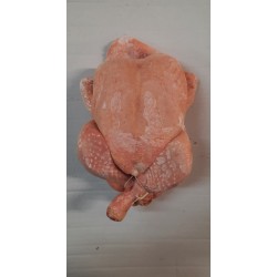 POULET HALAL PAC 1300 GR  X 8 