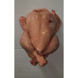 POULET HALAL PAC 900GR X 10...